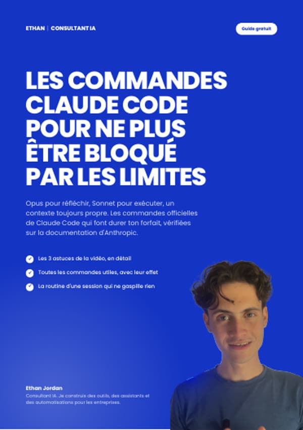 Couverture du guide Les commandes contre les limites